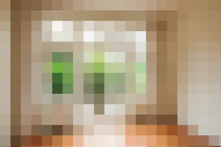 Reijnier Vinkeleskade 79 Amsterdam thumbnail 5