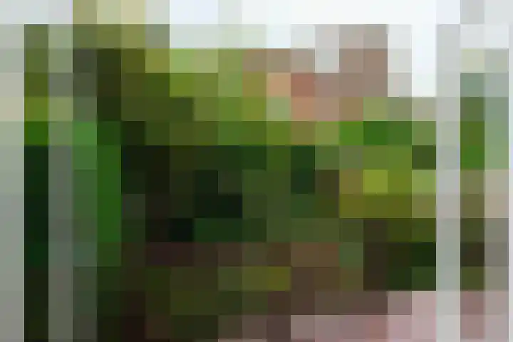 Reijnier Vinkeleskade 79 Amsterdam thumbnail 7
