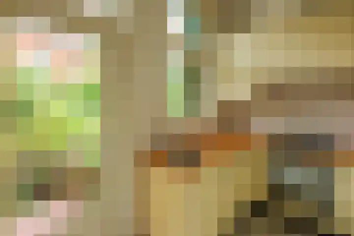 Reijnier Vinkeleskade 79 Amsterdam thumbnail 8