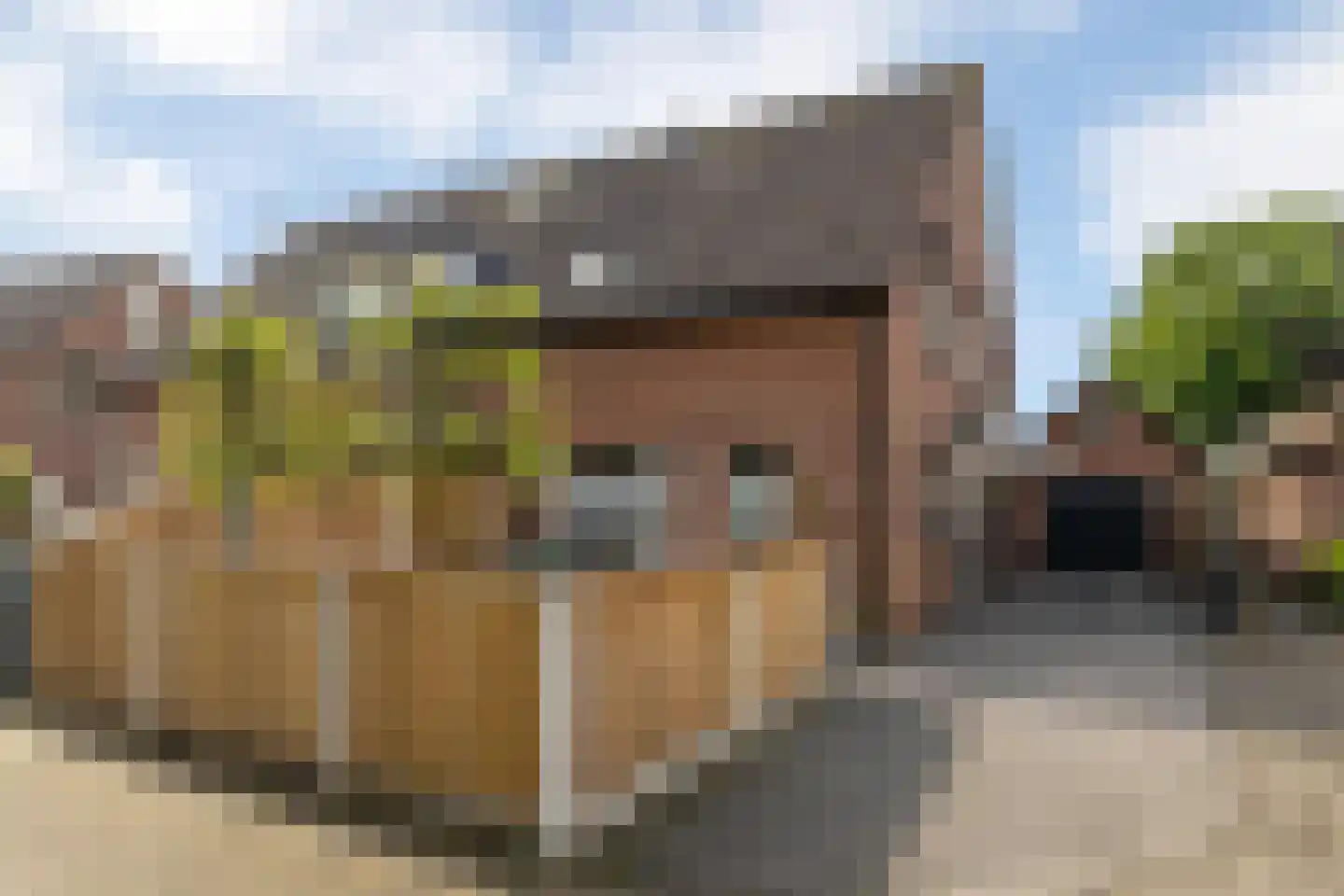 Reijnvaanerf 17 in Elspeet
