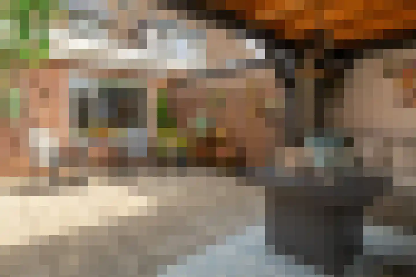Reijnvaanerf 17 Elspeet thumbnail 10