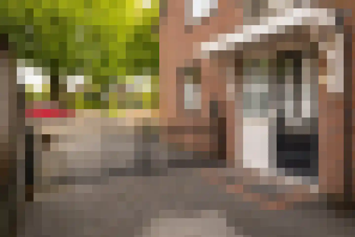 Reijnvaanerf 17 Elspeet thumbnail 12