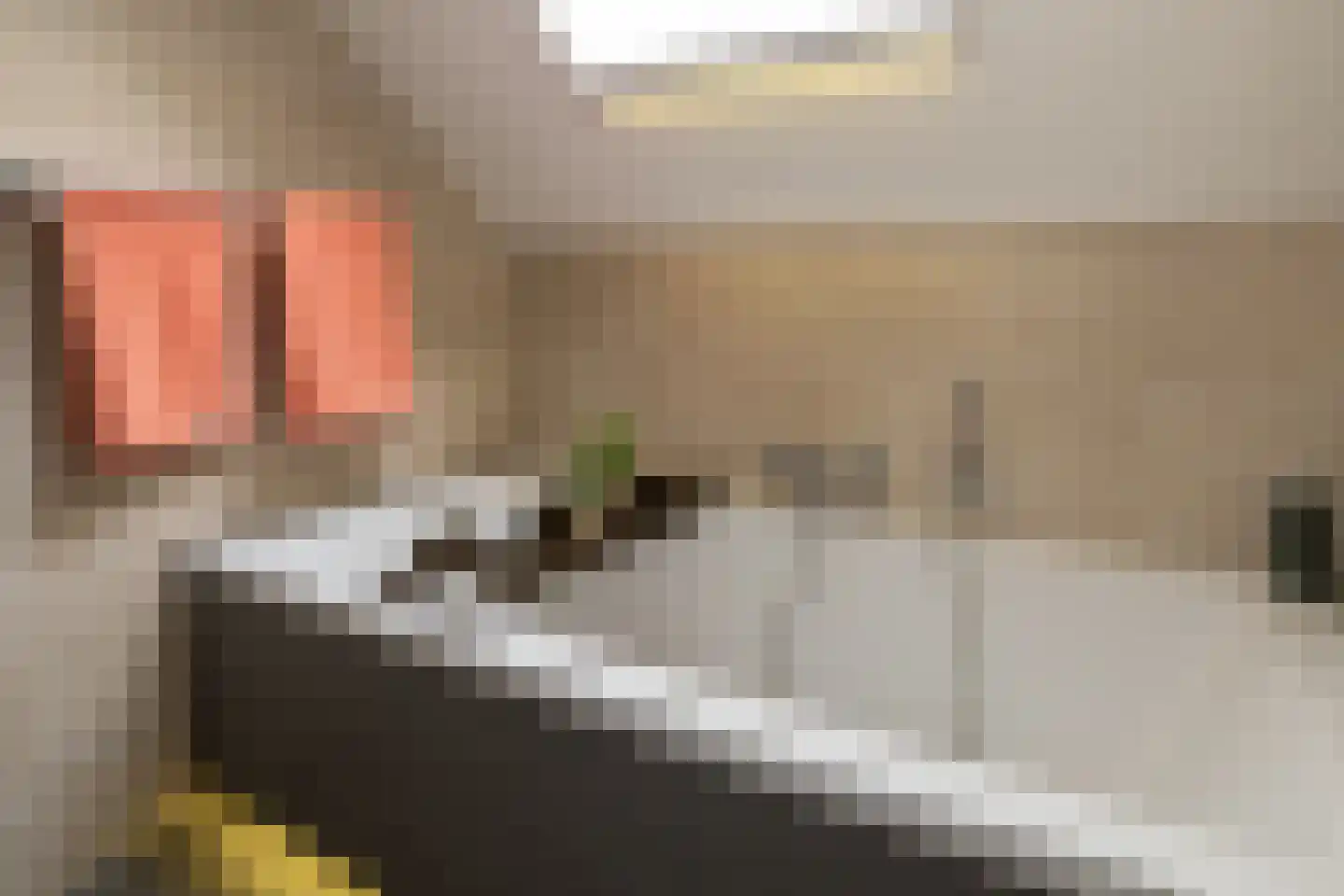 Reijnvaanerf 17 Elspeet thumbnail 32