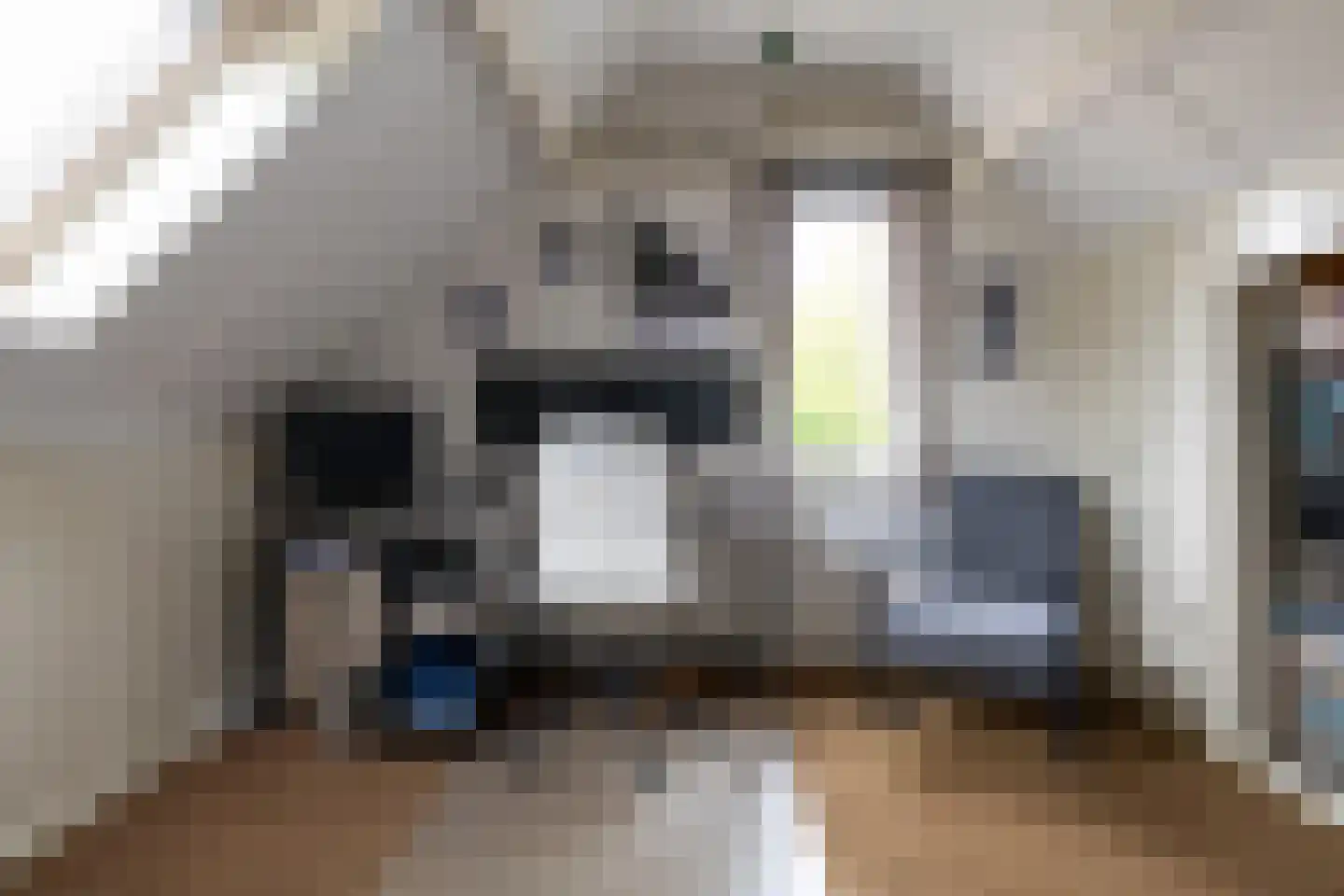 Reijnvaanerf 17 Elspeet thumbnail 36