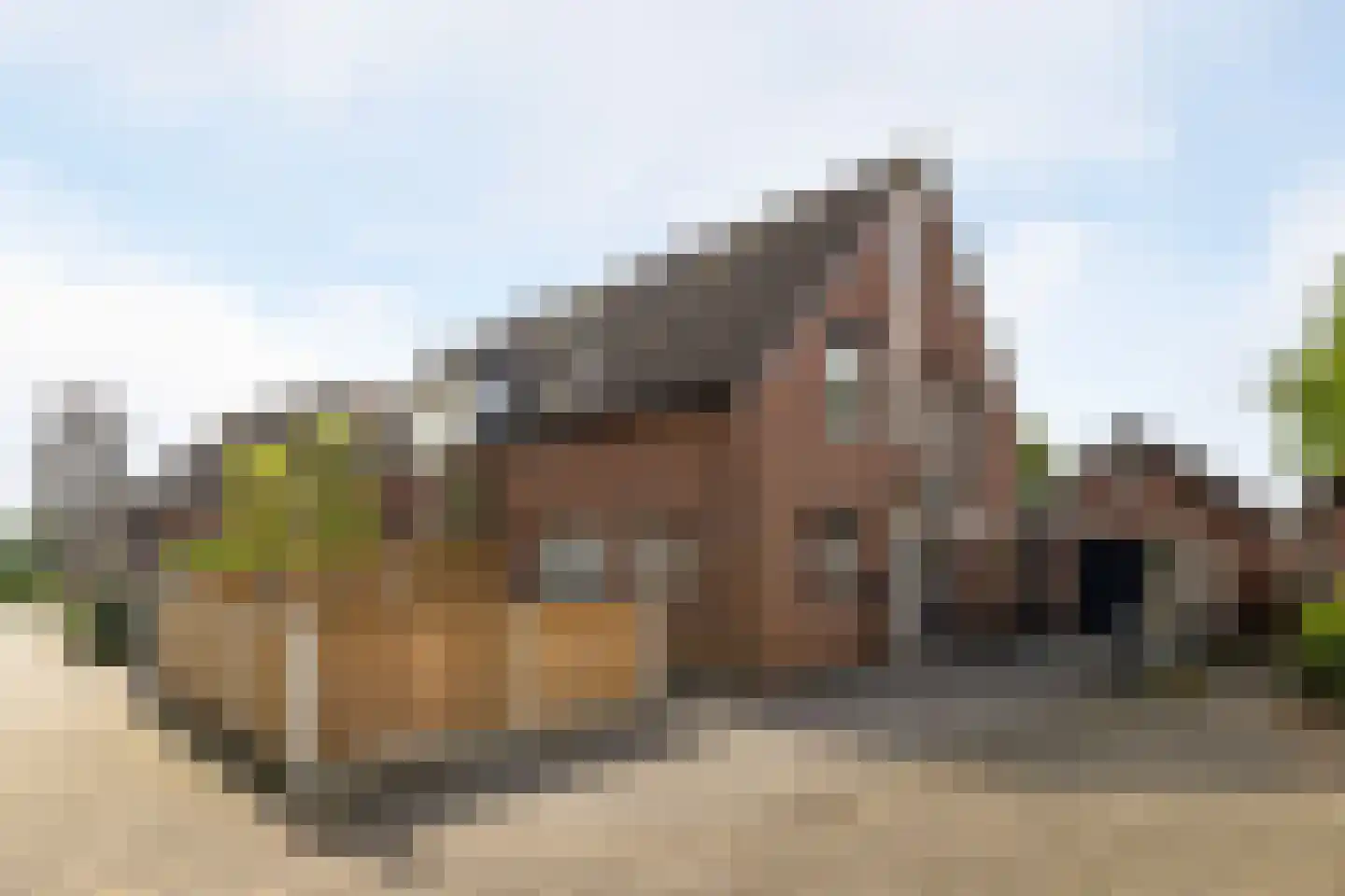 Reijnvaanerf 17 Elspeet thumbnail 38