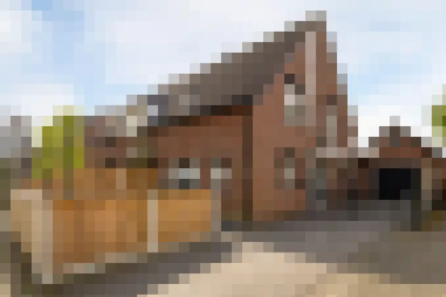 Reijnvaanerf 17 Elspeet thumbnail 4