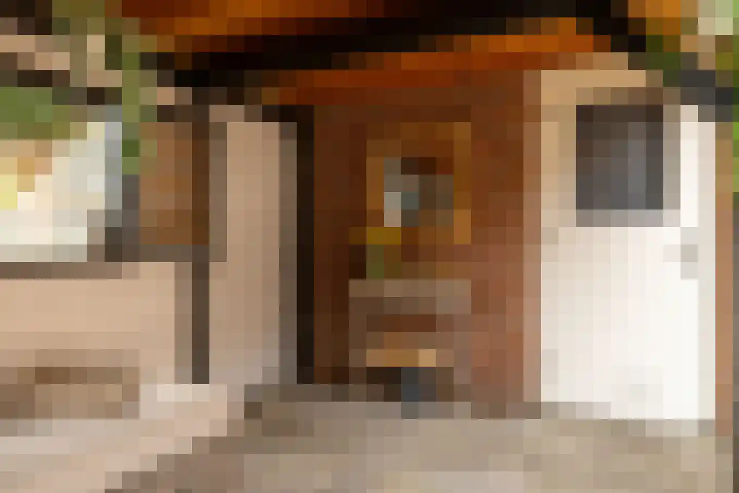 Reijnvaanerf 17 Elspeet thumbnail 42