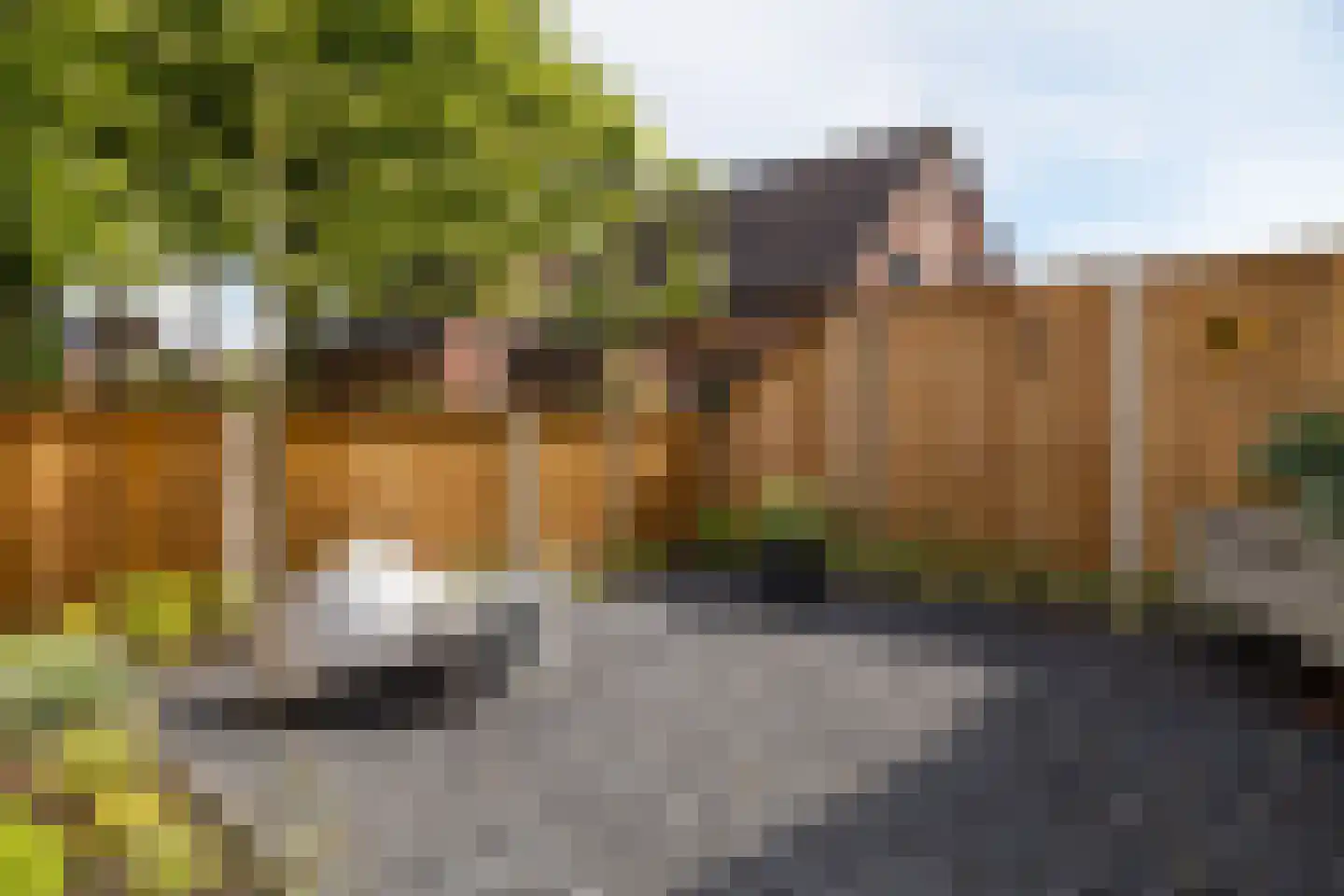 Reijnvaanerf 17 Elspeet thumbnail 6