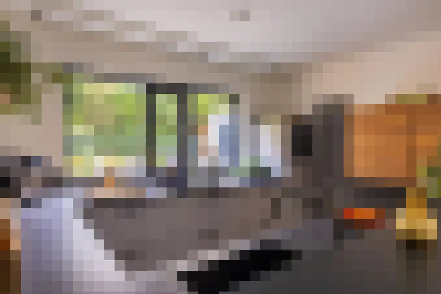 Reilinksweg 47 Holten thumbnail 14