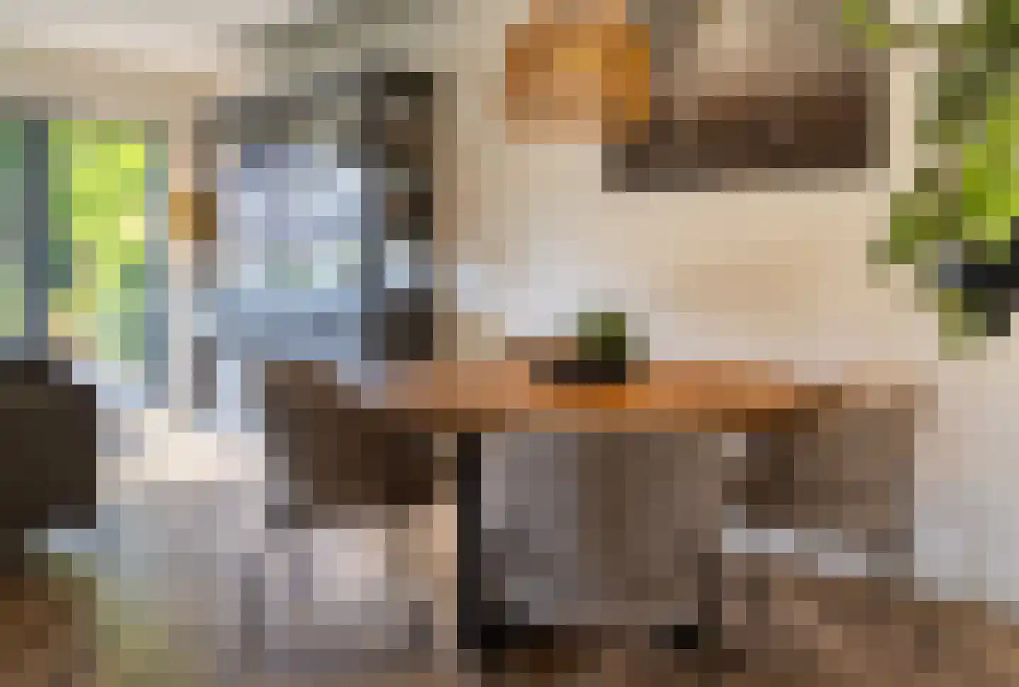 Reilinksweg 47 Holten thumbnail 18