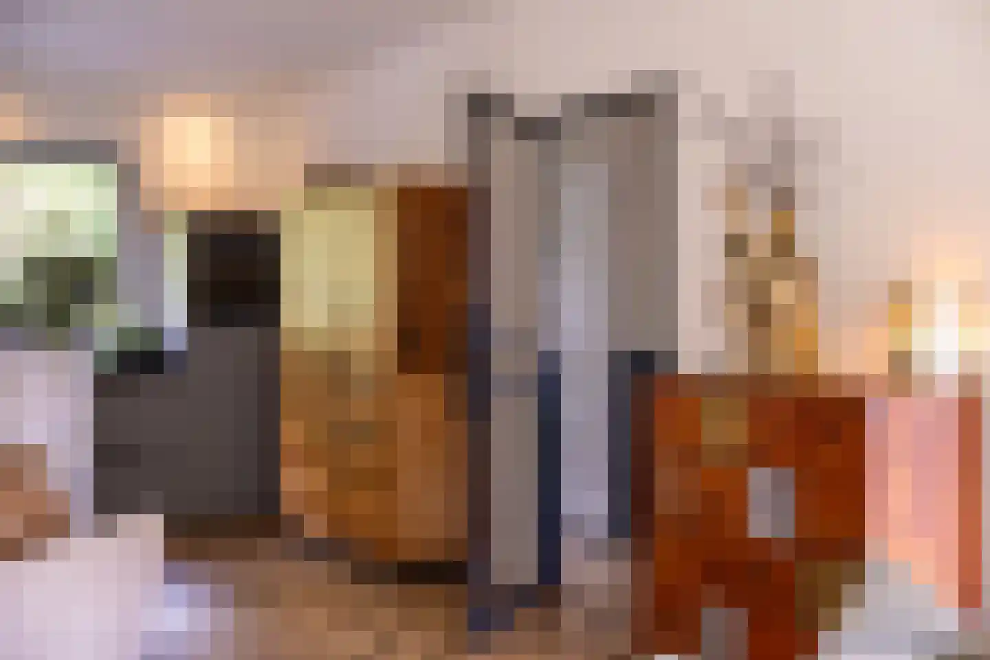 Reilinksweg 47 Holten thumbnail 19