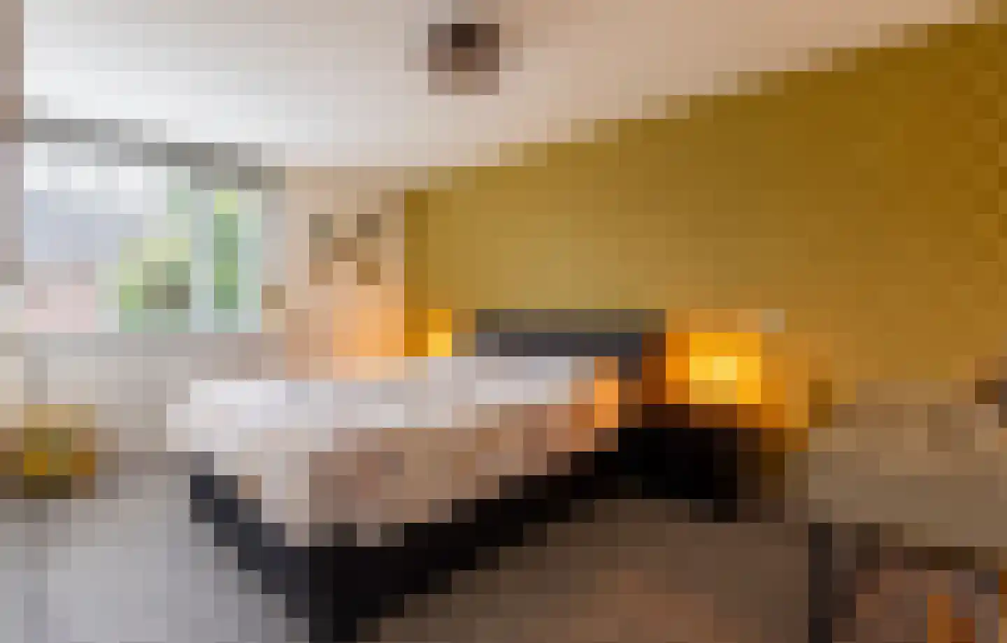 Reilinksweg 47 Holten thumbnail 22