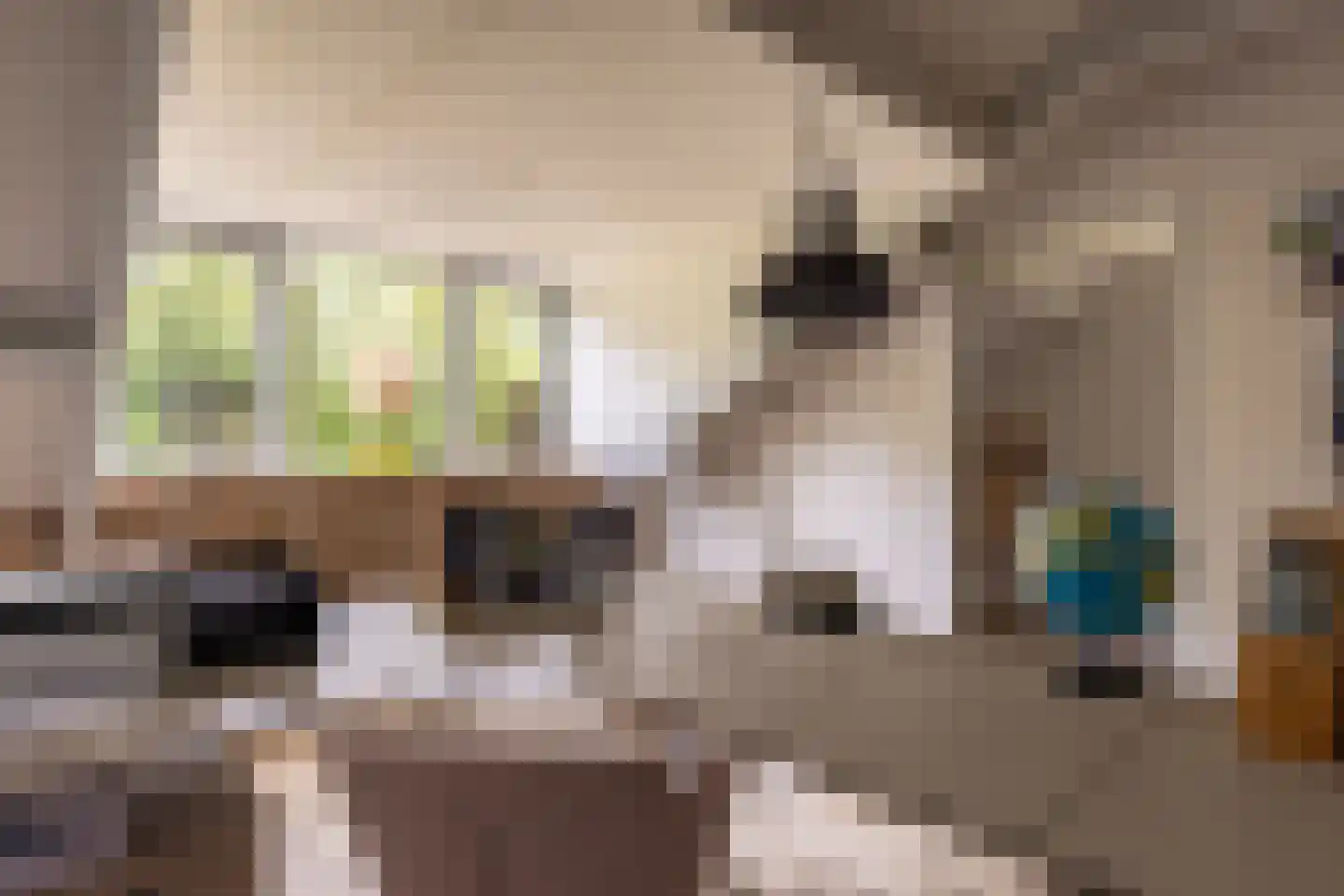 Reilinksweg 47 Holten thumbnail 31