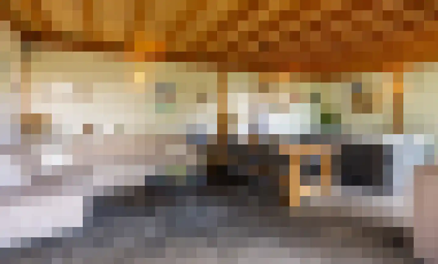 Reilinksweg 47 Holten thumbnail 35