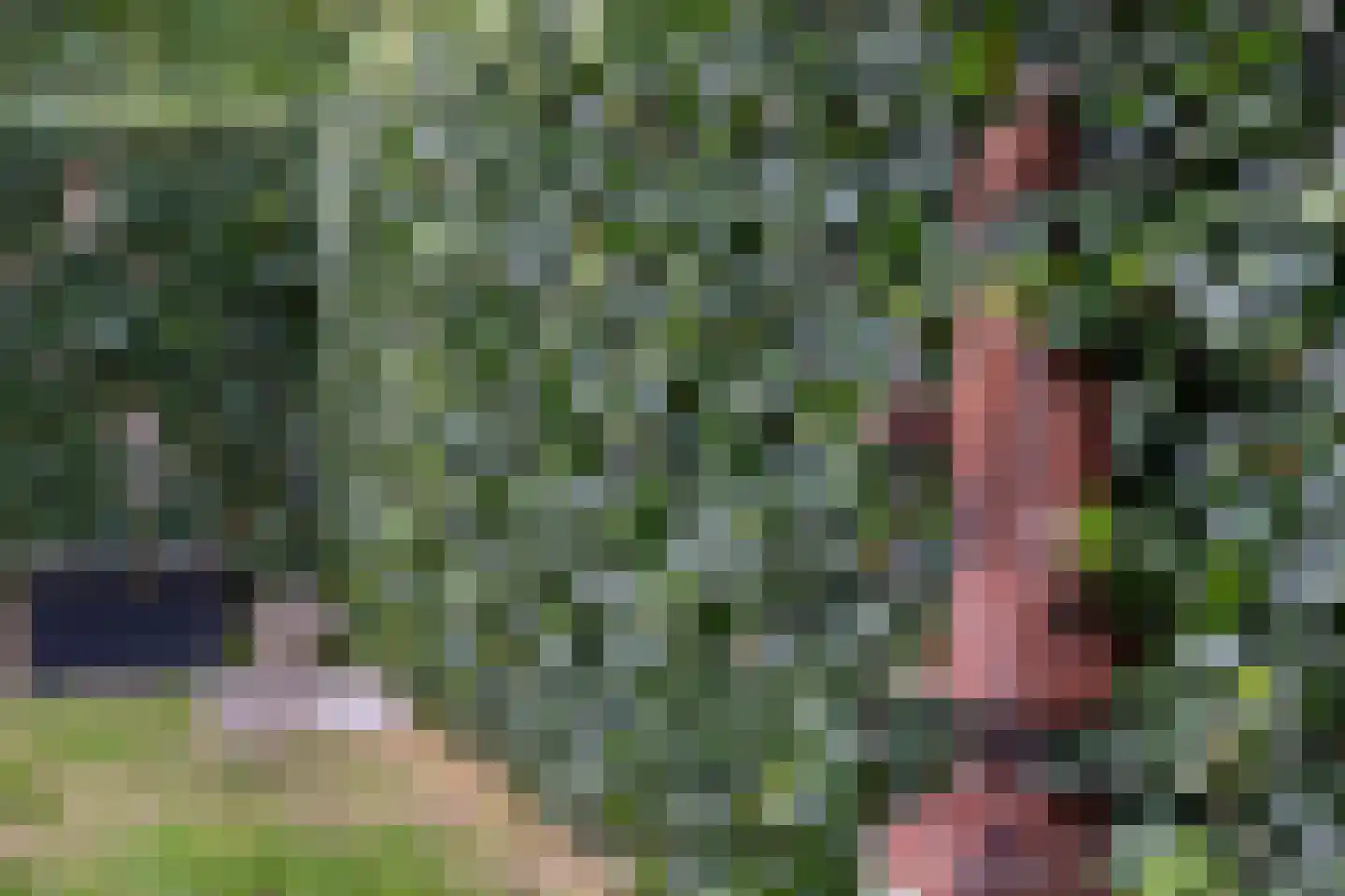 Reilinksweg 47 Holten thumbnail 44