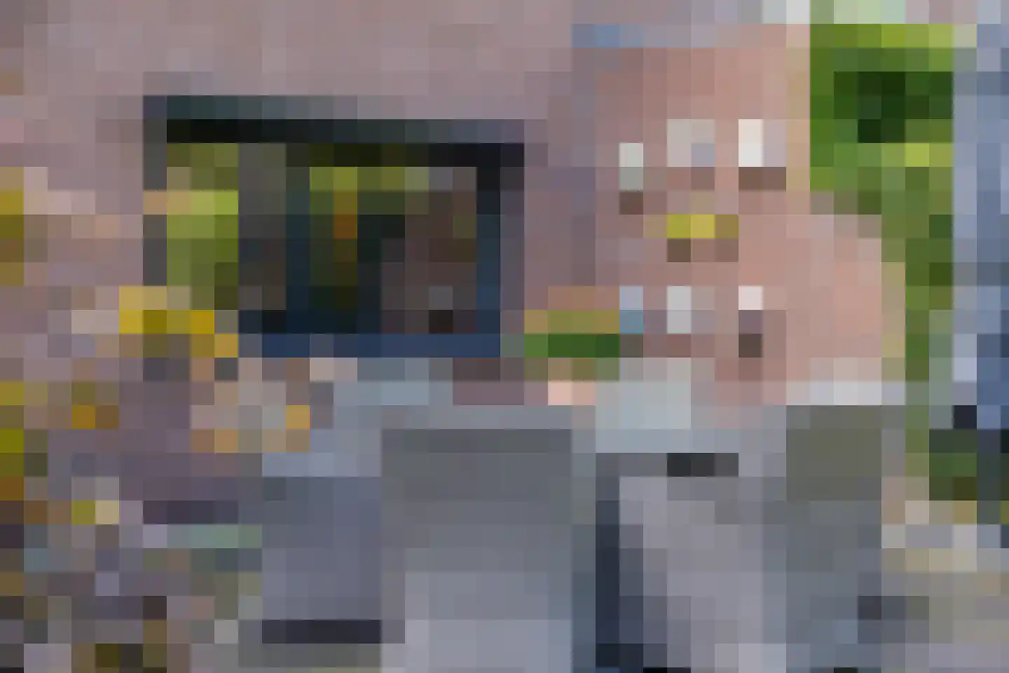 Reilinksweg 47 Holten thumbnail 48