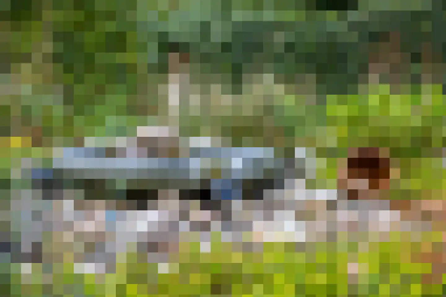 Reilinksweg 47 Holten thumbnail 49