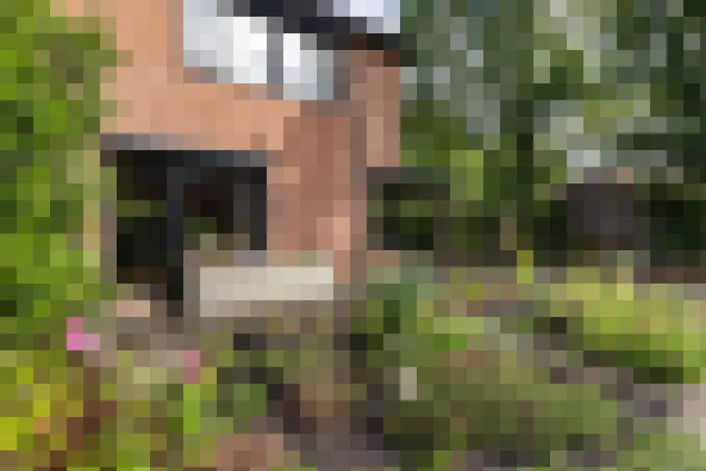 Reilinksweg 47 Holten thumbnail 50