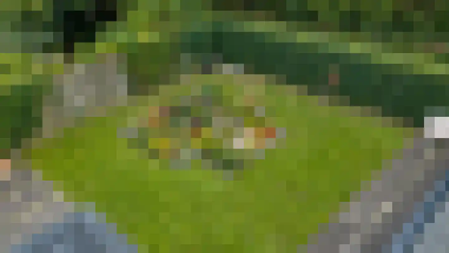 Reilinksweg 47 Holten thumbnail 53