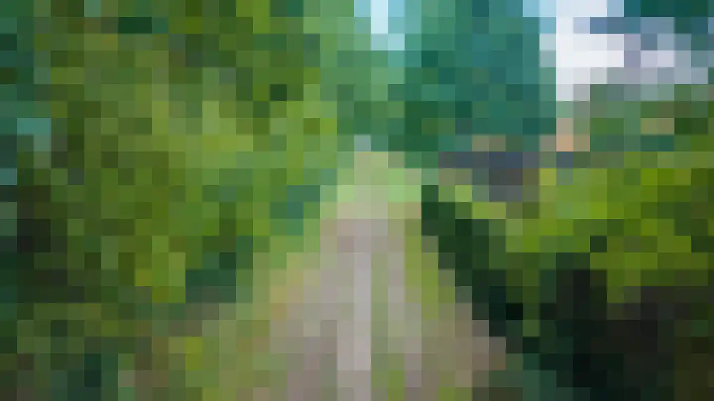 Reilinksweg 47 Holten thumbnail 54