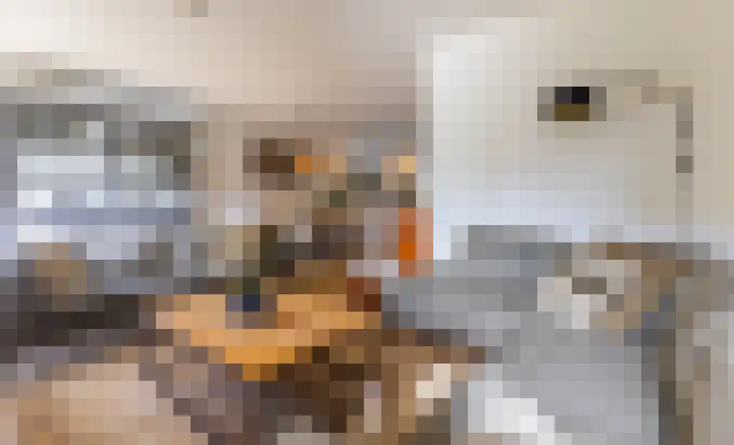 Reilinksweg 47 Holten thumbnail 9