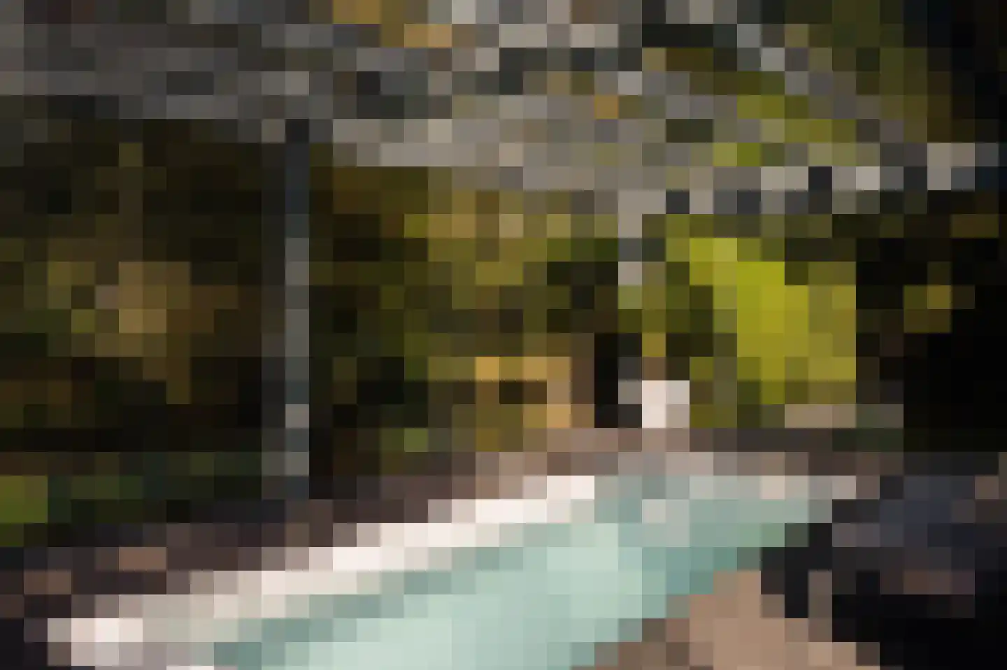 Reimersbeek 14 Amsterdam thumbnail 10