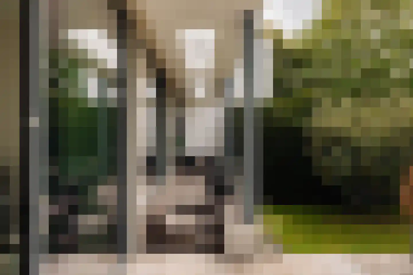Reimersbeek 14 Amsterdam thumbnail 11