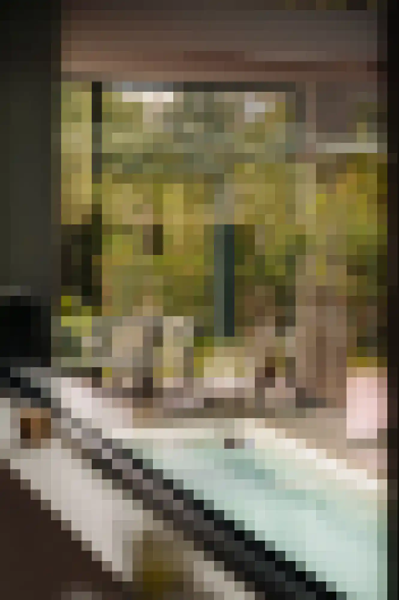Reimersbeek 14 Amsterdam thumbnail 48