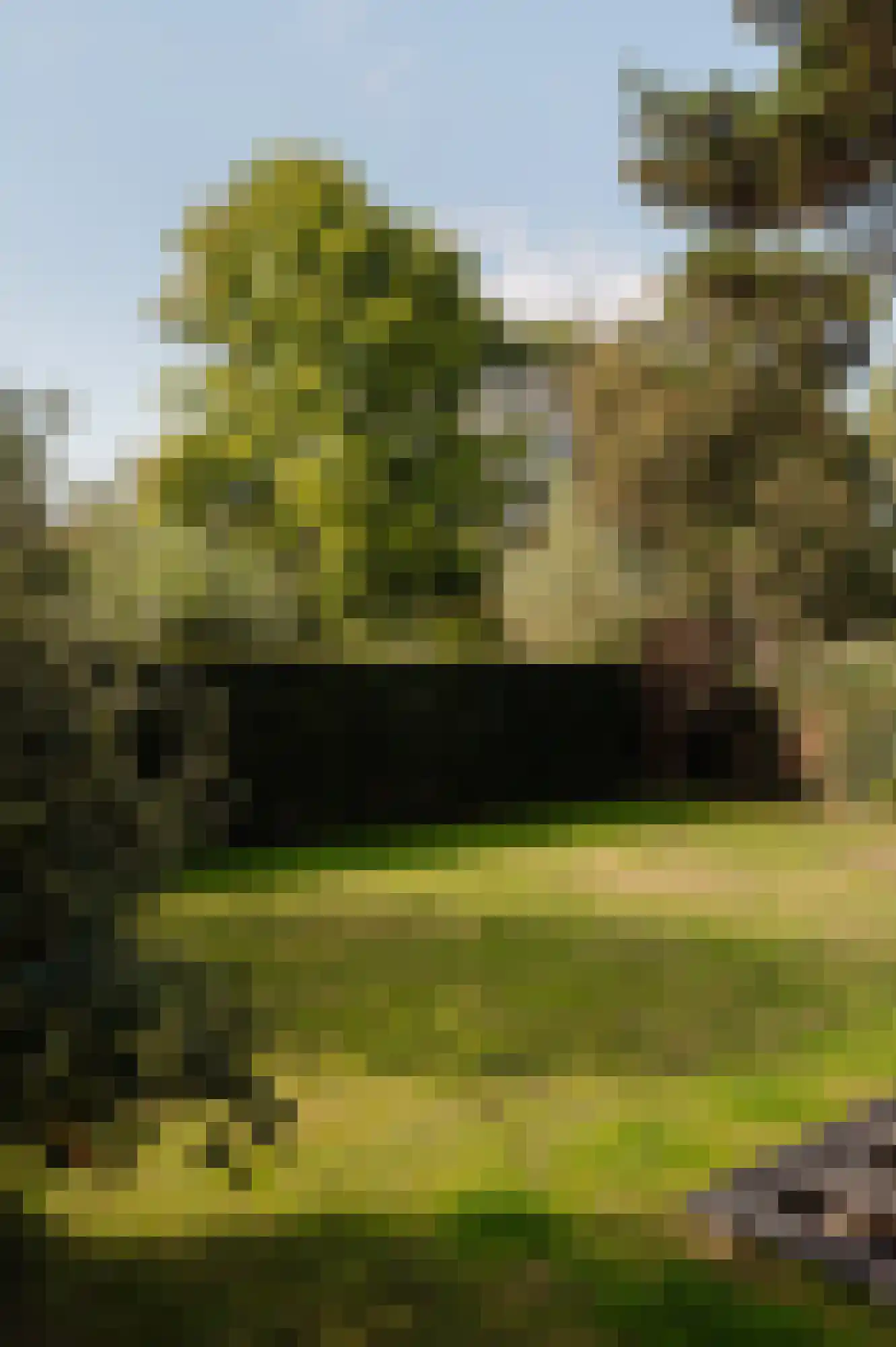 Reimersbeek 14 Amsterdam thumbnail 5