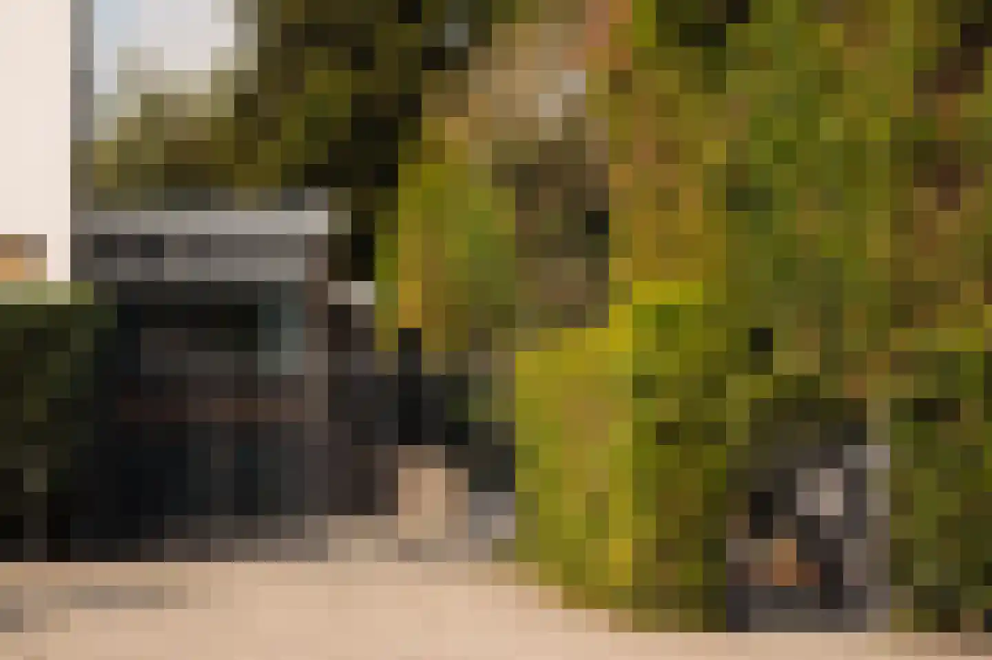 Reimersbeek 14 Amsterdam thumbnail 51