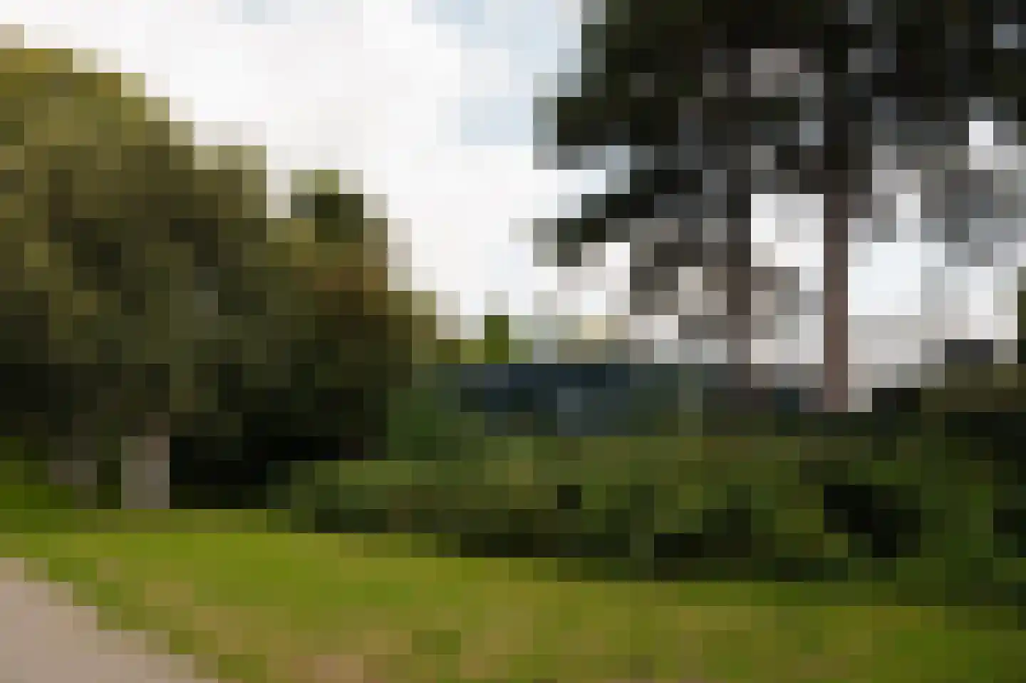 Reimersbeek 14 Amsterdam thumbnail 52