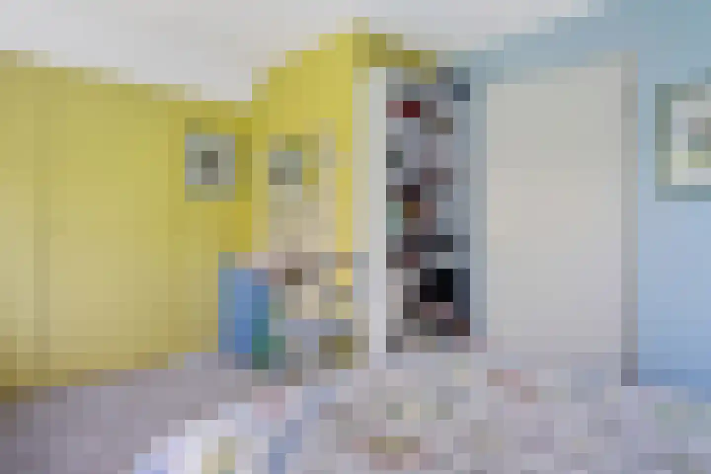 Reimersstraat 10 Dalen thumbnail 32