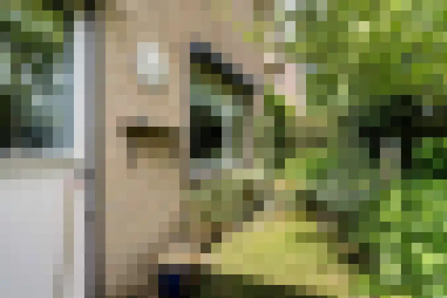 Reimersstraat 10 Dalen thumbnail 35