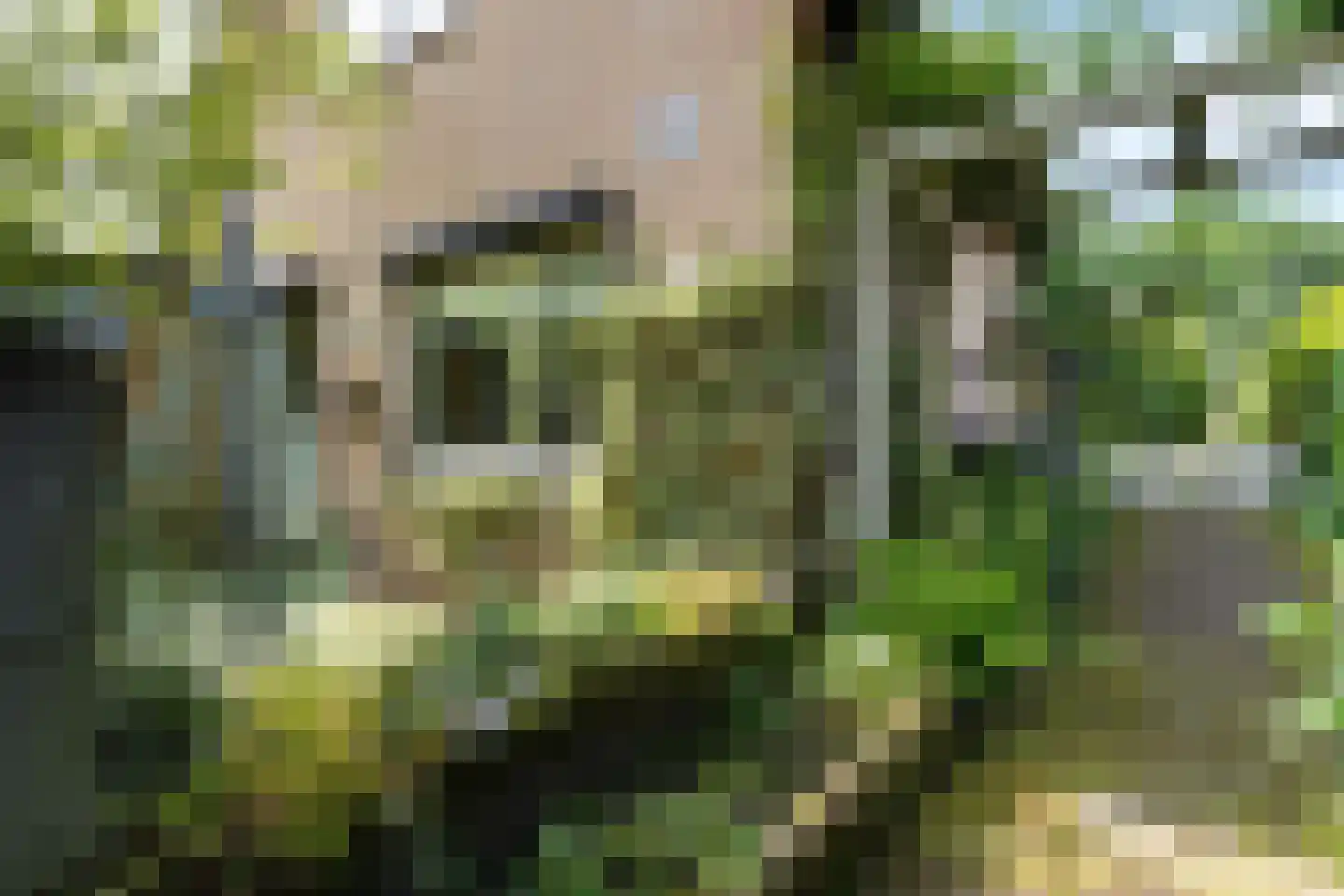 Reimersstraat 10 Dalen thumbnail 36