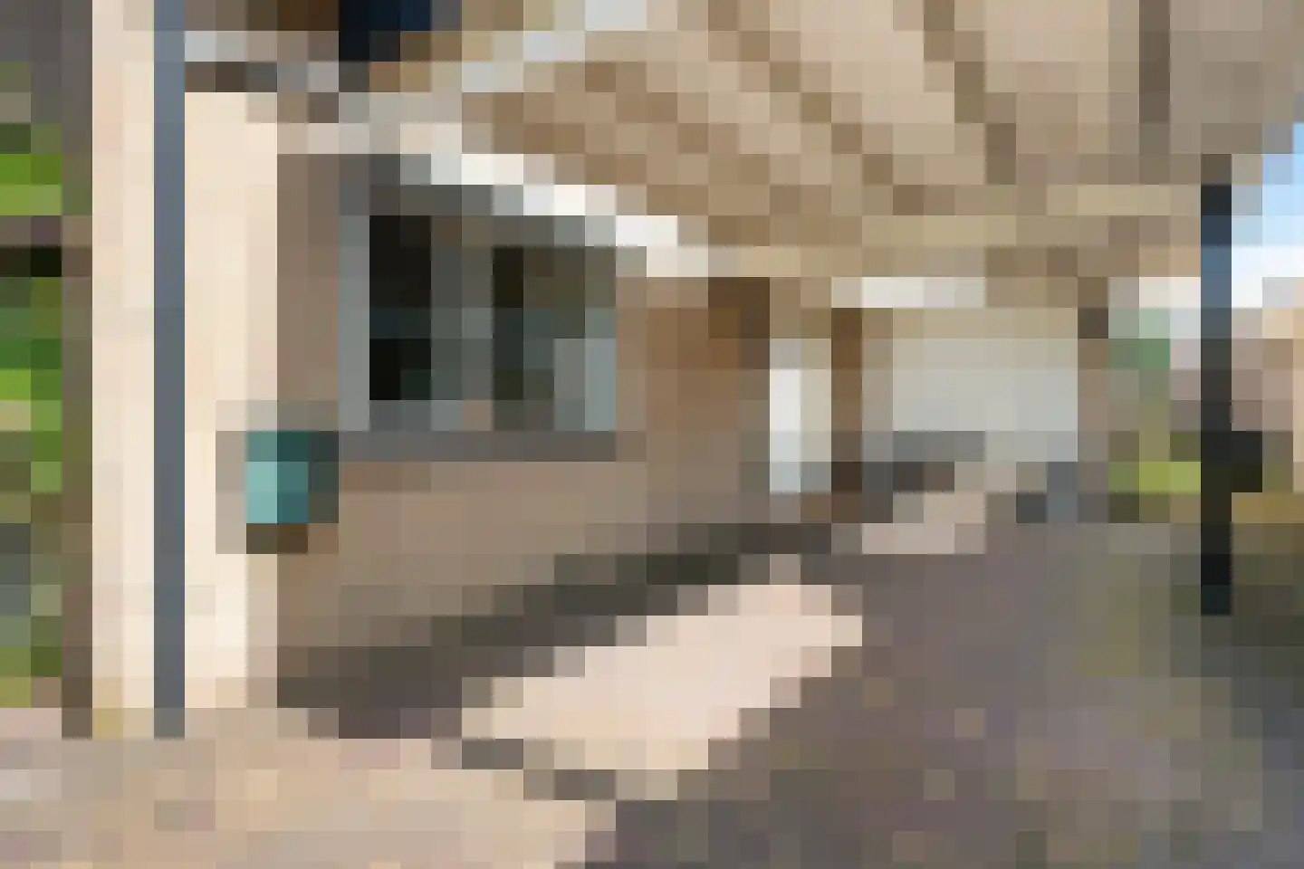 Reimersstraat 10 Dalen thumbnail 39