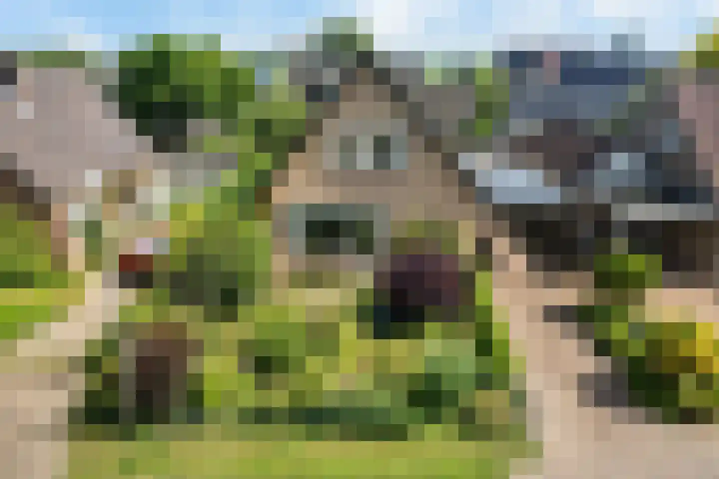 Reimersstraat 10 Dalen thumbnail 41