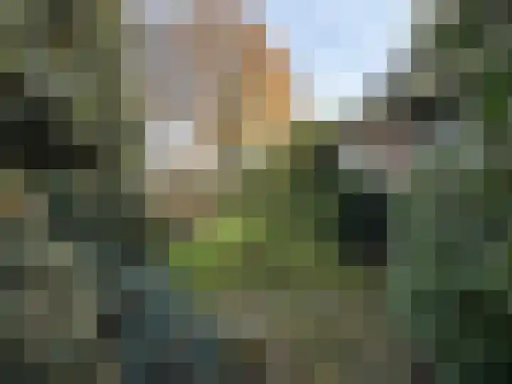 Reimersstraat 9 Dalen thumbnail 16