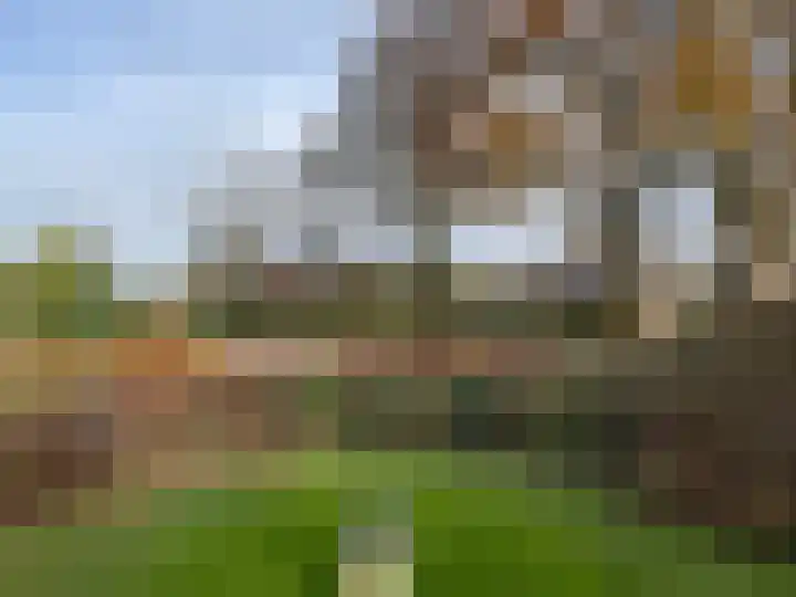 Reimersstraat 9 Dalen thumbnail 18