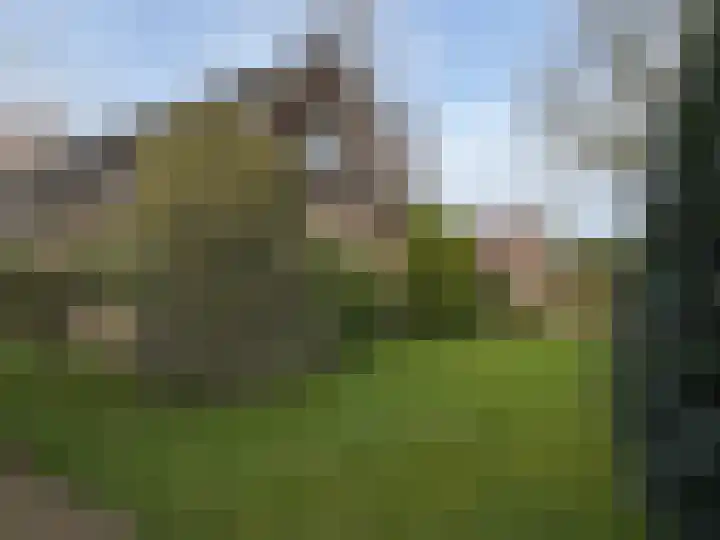 Reimersstraat 9 Dalen thumbnail 20