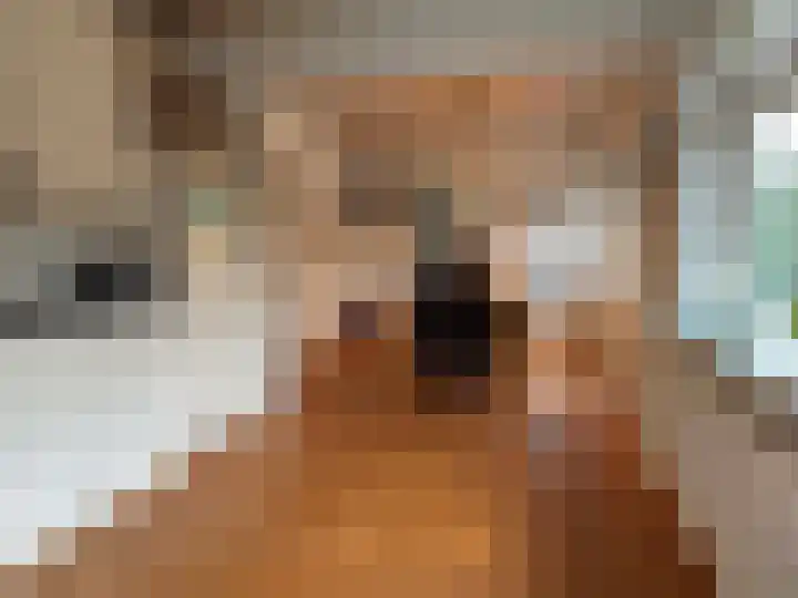 Reimersstraat 9 Dalen thumbnail 32