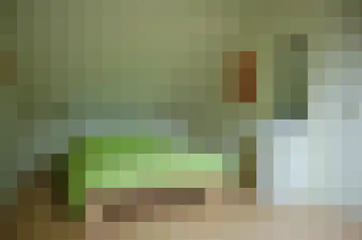 Reimersstraat 9 Dalen thumbnail 36
