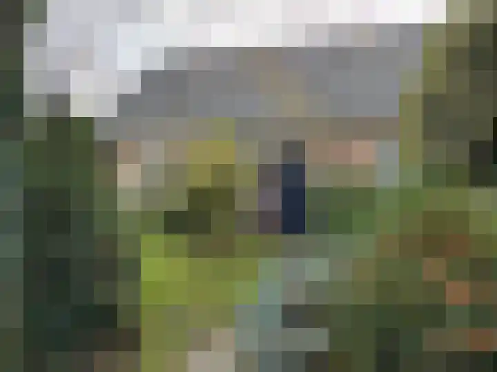Reimersstraat 9 Dalen thumbnail 7