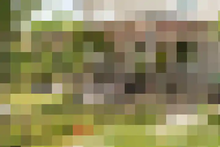 Reimslaan 167 Almere thumbnail 5