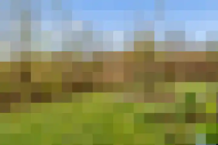 Reimslaan 167 Almere thumbnail 51