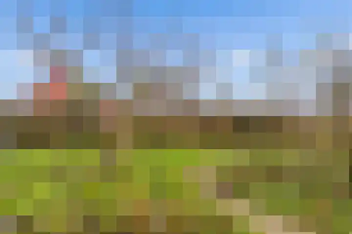 Reimslaan 167 Almere thumbnail 52