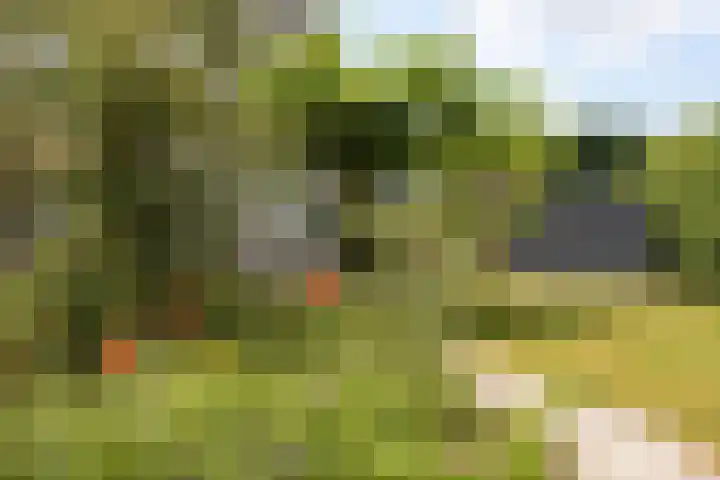 Reimslaan 167 Almere thumbnail 54
