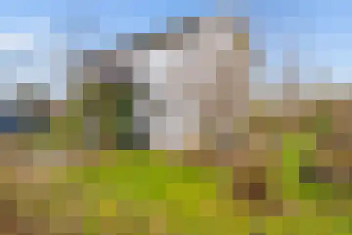 Reimslaan 167 Almere thumbnail 59