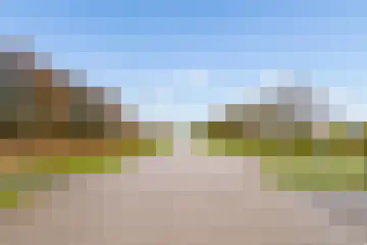 Reimslaan 167 Almere thumbnail 60