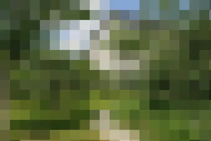 Reimslaan 167 Almere thumbnail 7