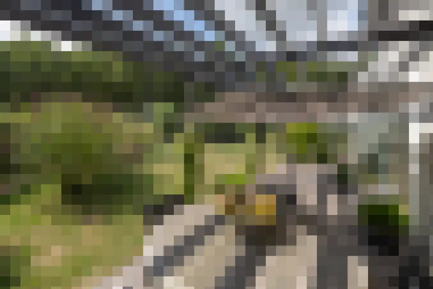 Reimslaan 171 Almere thumbnail 22